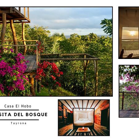 La Casita Del Bosque Villa Santa Marta  Luaran gambar