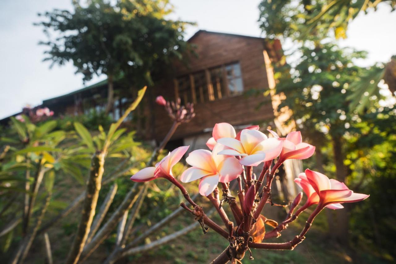 La Casita Del Bosque Villa Santa Marta  Luaran gambar