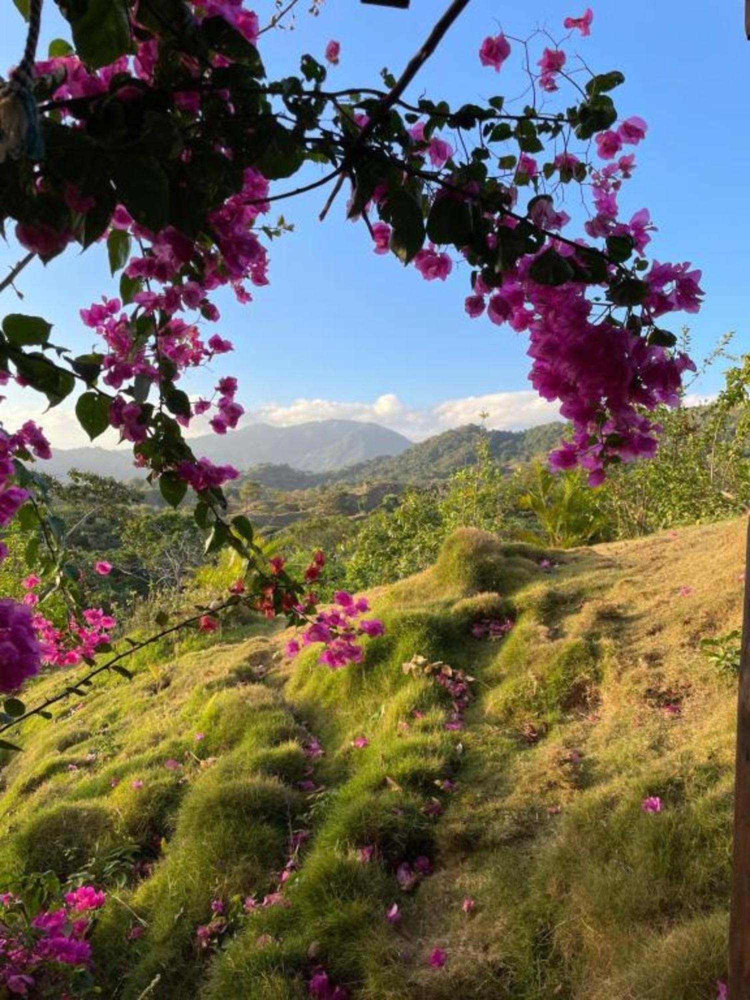 La Casita Del Bosque Villa Santa Marta  Luaran gambar